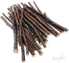 CONIGLiO   - BASTONCI  BIO   RODITORI ,CINCILLA'