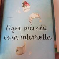 romanzo, ogxni piccola cosa interrotta