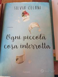 romanzo, ogxni piccola cosa interrotta