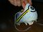 Immagine 2