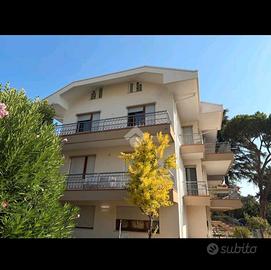 appartamento viale santorre di santarosa