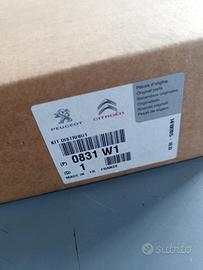 Kit Distribuzione Originale Peugeot Citroen 0831W1