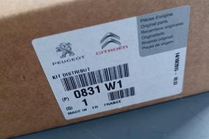Kit Distribuzione Originale Peugeot Citroen 0831W1