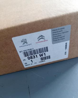 Kit Distribuzione Originale Peugeot Citroen 0831W1