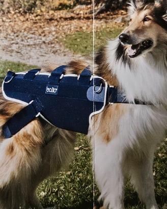 Pettorina / tutore cane Balto