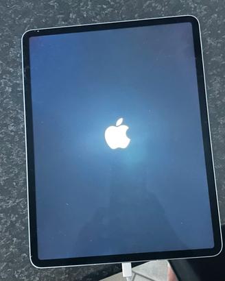 Apple iPad Air 13" Wi-Fi + Cellular 128 GB