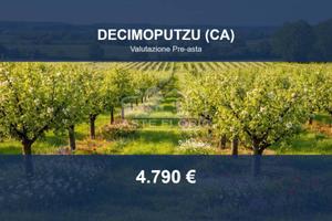 Immobile in asta di 2225 m² a Decimoputzu