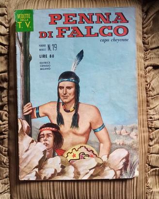 Penna di falco n. 19 