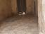 Immagine 16
