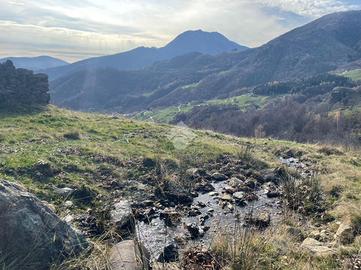 TER. AGRICOLO A VIÙ