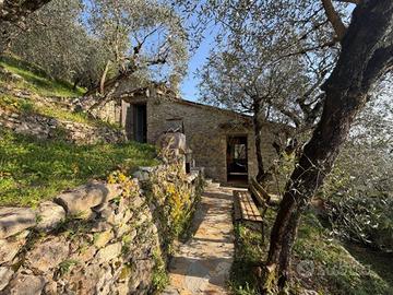 Rustico / Casale di 75 m² con 5 locali a Camaiore