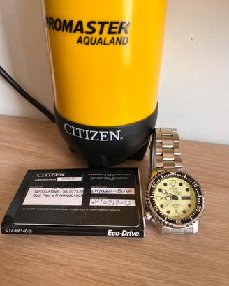 Citizen Promaster Aqualand