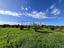 Immagine 27