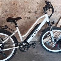 bici elettrica a pedalata assistita