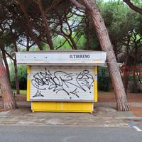 Bar Cecina [Edicola23VCG] (Cecina Mare)