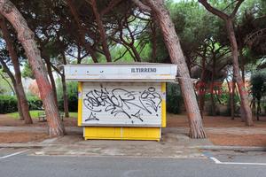 Bar Cecina [Edicola23VCG] (Cecina Mare)