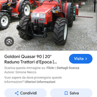 Cerco Goldoni Quasar 90