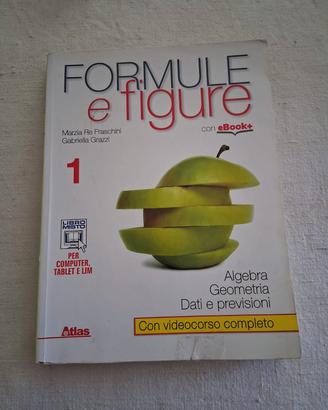 Formule e figure 1