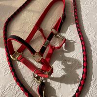 Capezza Umbria Equitazione