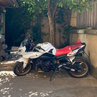 Yamaha Fazer 800 Akrapovic