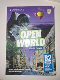 open world