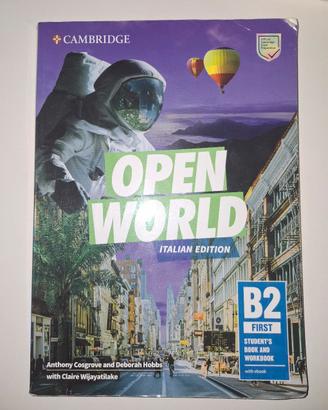 open world