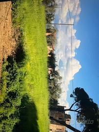 Terreno agricolo e per piccola industria