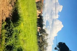 Terreno agricolo e per piccola industria