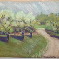 Dipinti di arte contemporanea.