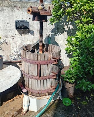 torchio per vino