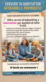 Babysitter