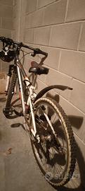 montan bike ragazzo 