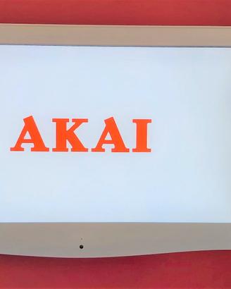 TV Monitor BIANCO 25 Pollici