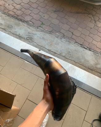 Pancia Voca 70-80 più che NUOVA