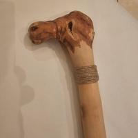 Bastone da passeggio o collezione 