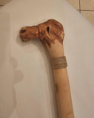 Bastone da passeggio o collezione 