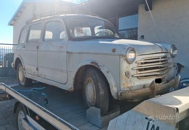 Fiat 1100 103 familiare 1955 belvedere