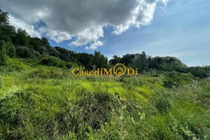 Terreno di 8000 m² a Fauglia
