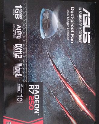 Asus r7 250