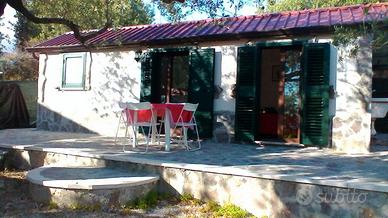 Monolocale Caprioli/Palinuro