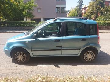 PANDA 2005 