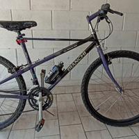 Mountain Bike Bianchi "Ragno" anni 90