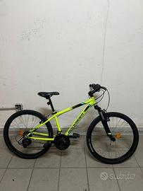 bicicletta
