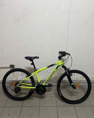 bicicletta