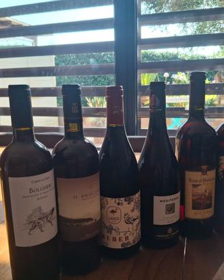 14 bottiglie di vino rosso varie cantine e annate