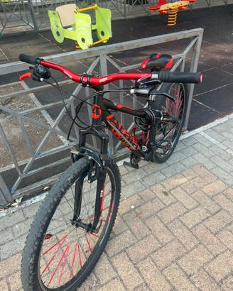 Mountainbike Willy bike