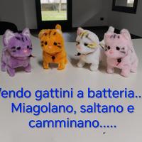 gattini peluche 