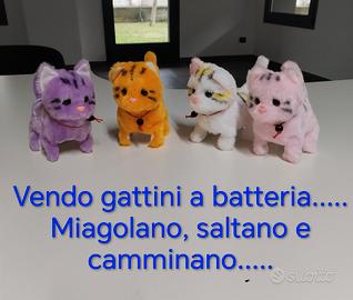 gattini peluche 