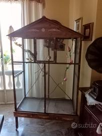 gabbia per calopsiti molto grande