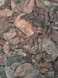 Corteccia Pino per Pacciamatura